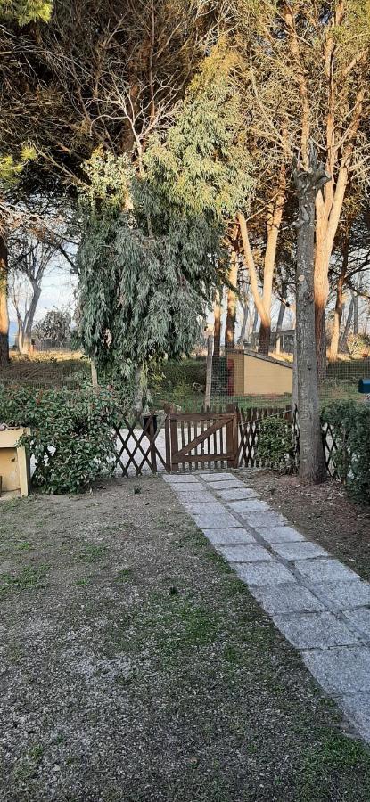 Albachiara Villa กัสติลโยเน เดล ลาโก ภายนอก รูปภาพ